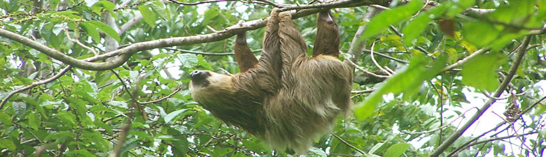 ecotourism in costa rica
